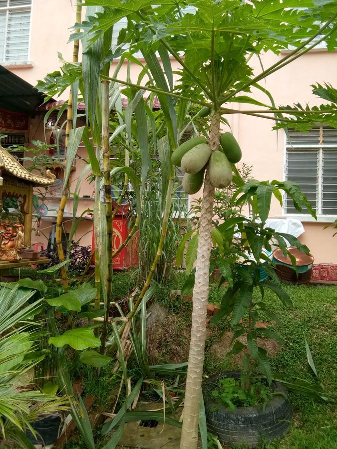 Genting Bukit Tinggi Homestay Exterior photo
